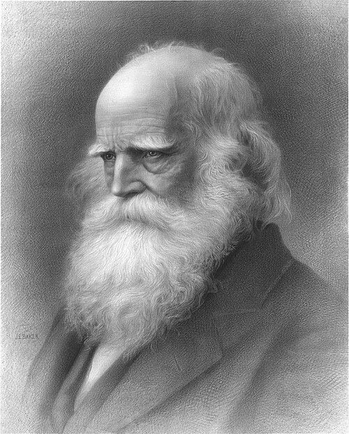 Retrato: William Cullen Bryant