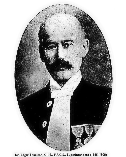 Portrait: Edgar Thurston