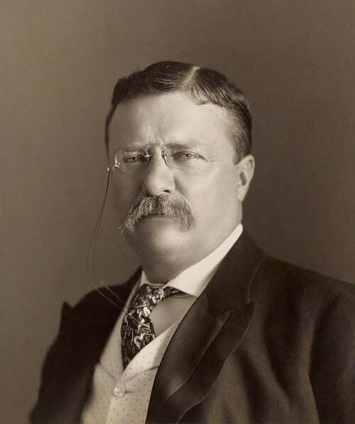 Portrait: Theodore Roosevelt