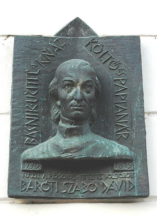 Portrait: Dávid Baróti Szabó