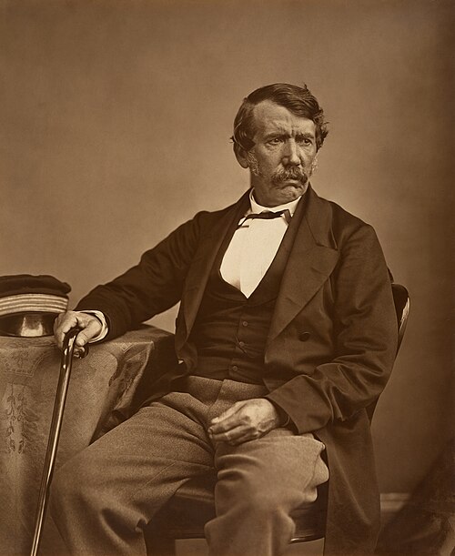 Portrait: David Livingstone