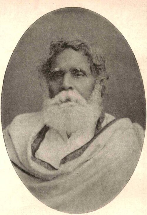 Retrato: Rajnarayan Basu
