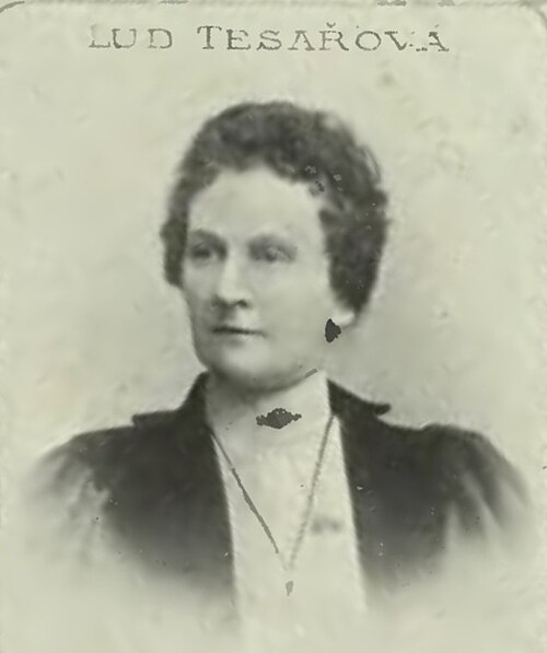Retrato: Ludmila Tesařová