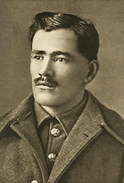 Portrait: Francis Ledwidge
