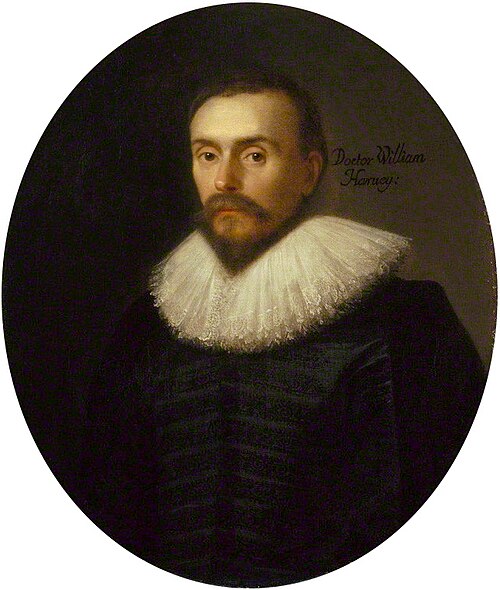 Retrato: William Harvey