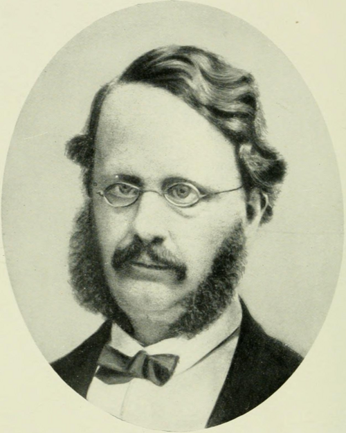 Retrato: Sophus Bugge