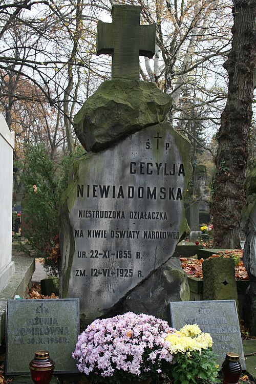 Retrato: Cecylia Niewiadomska
