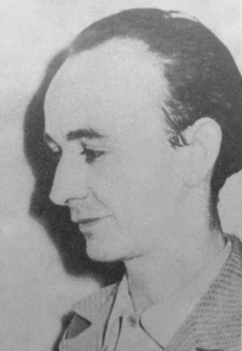 Portrait: Stanisław Grochowiak