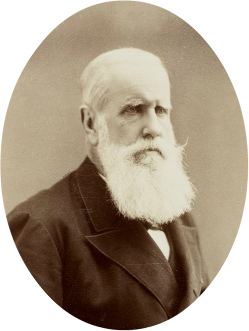 Portrait: Pedro II of Brazil