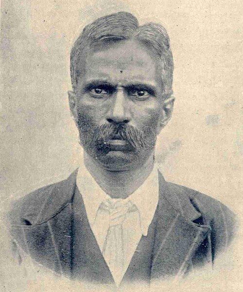 Portrait: Panuganti Lakshminarasimha Rao