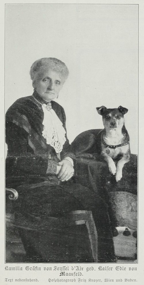 Retrato: Camilla Seyssel d’Aix