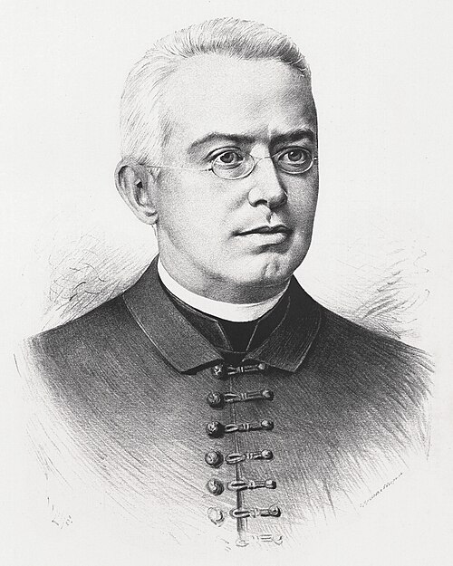 Retrato: Václav Beneš Třebízský