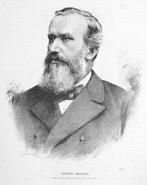 Portrait: Vincenc Brandl