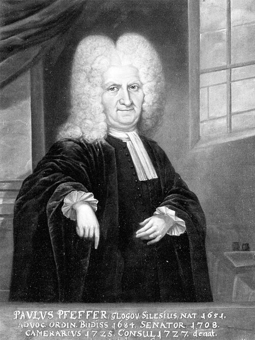 Portrait: Paul Pfeffer
