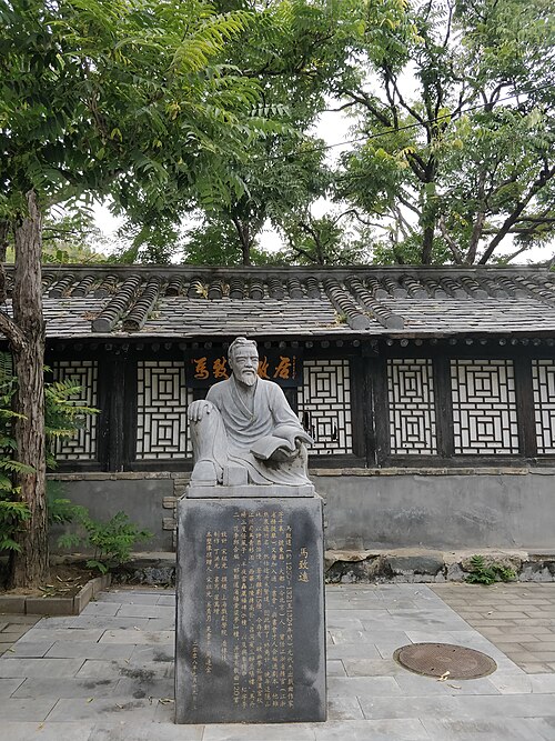 Portrait: Ma Zhiyuan